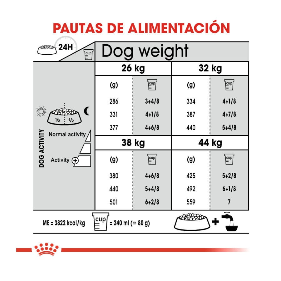 Royal Canin Dental Care Maxi pienso para perros, , large image number null